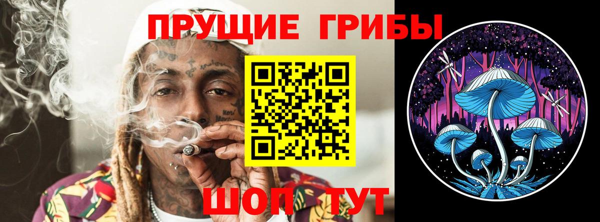 Югорск  Галлюциногенные грибы прущие грибы  Вход с VPN 